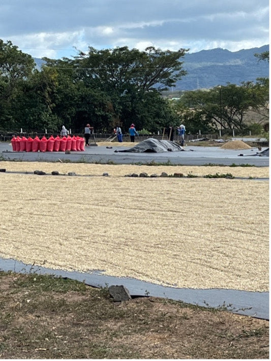 Episode 4: Meeting Diego Chavarria: Part 2