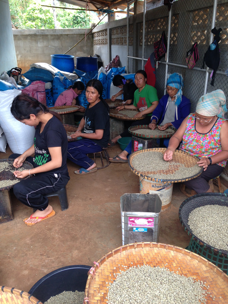 Episode 2: Jobs, Joy, and a Future in Doi Chang