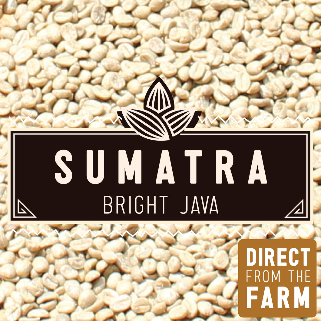 GREEN Sumatra Gayo  | 2lb.