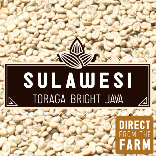 GREEN Sulawesi Toraja Bright Java | 2lb.