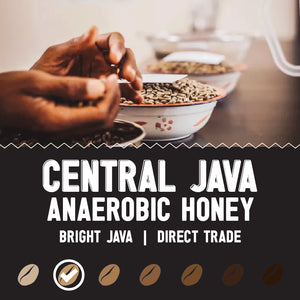 Central Java Anaerobic Honey  | Light/Medium Roast