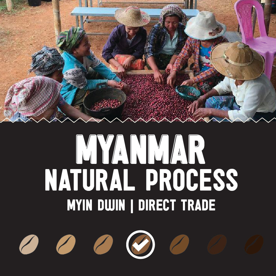 Myanmar - Myin Dwin Natural Processed | Medium Roast | 5lb. Bulk