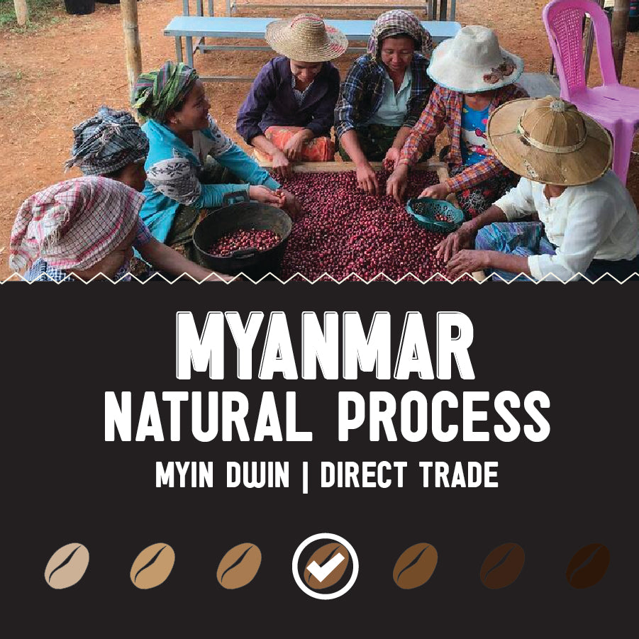 Myanmar: Myin Dwin Natural Processed | Medium Roast