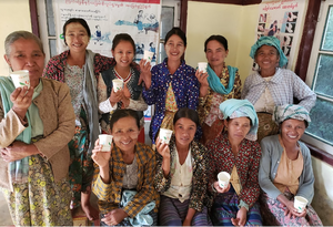 Myanmar: Myin Dwin Natural Processed | Medium Roast
