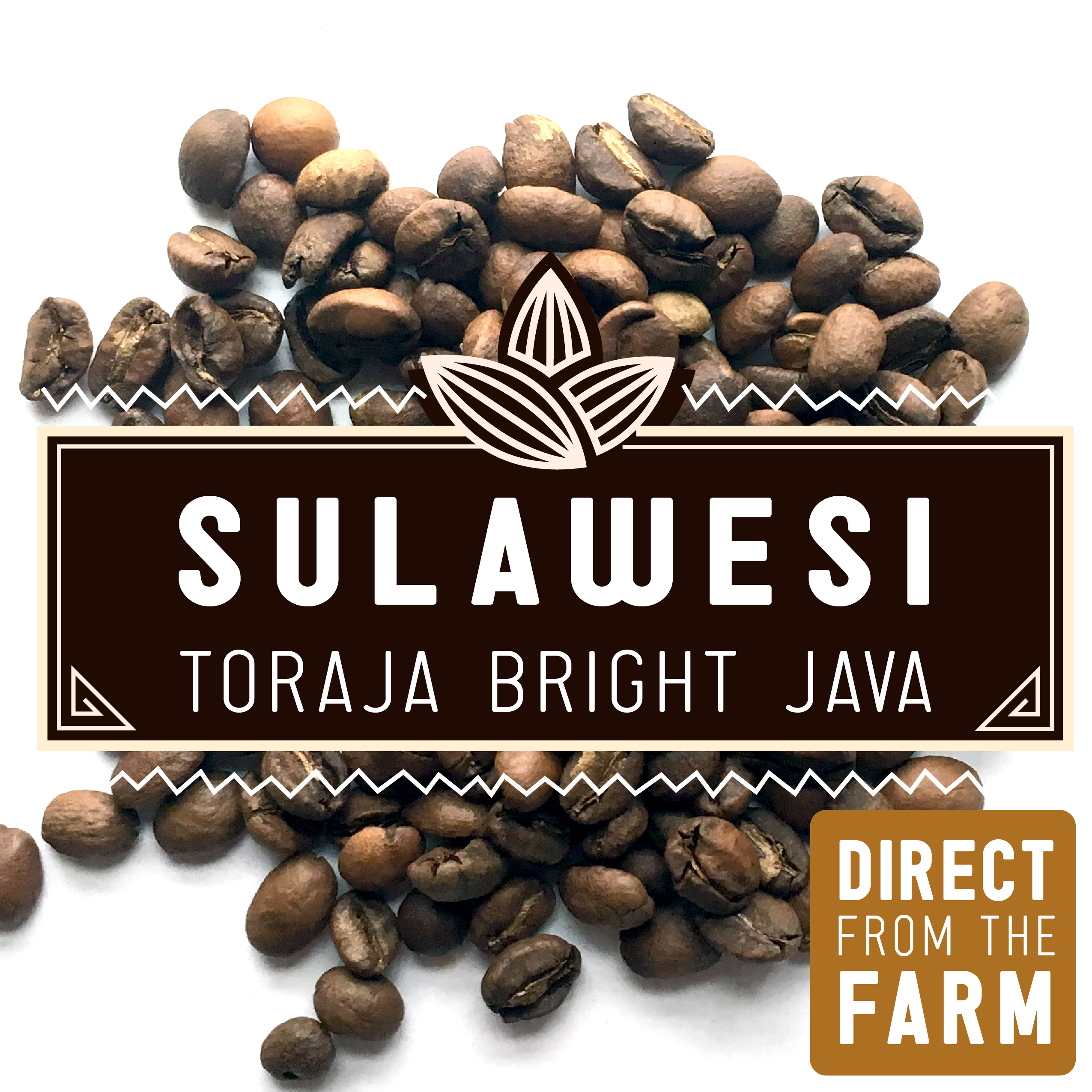 JJ  TORAJA コーヒー 8袋セット JJ Royal Coffee Indonesia Coffee Toraja Blend Ground Coffee