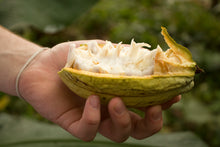 Load image into Gallery viewer, Ecuador - Bean to Bar Craft Chocolate